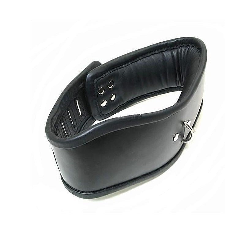FetishLink Bondage Padded Lockable Collar - Collars and Leads