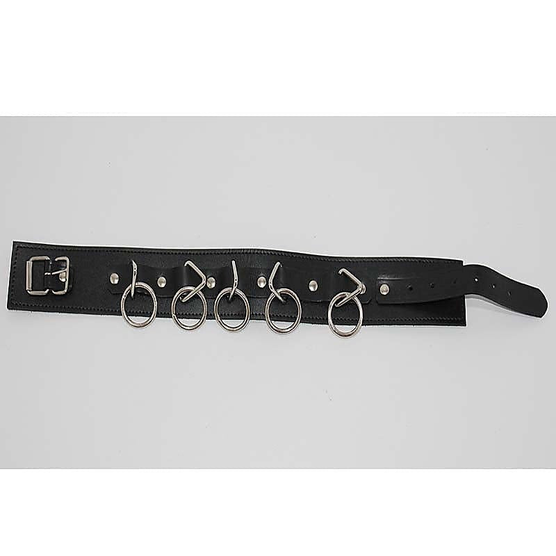 BDStyle Wild Cat BDSM Pleasure-Control Collar-Lead Ensemble - Collars and Leads