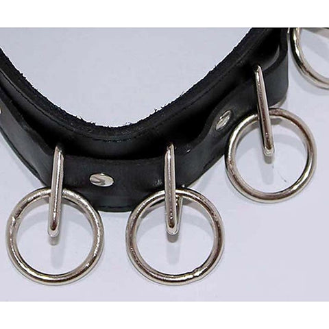 BDStyle Wild Cat BDSM Pleasure-Control Collar-Lead Ensemble - Collars and Leads