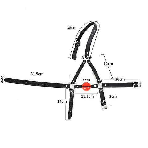 Ball Gag Head Harness by BDStyle - Bondage Gags and Bits