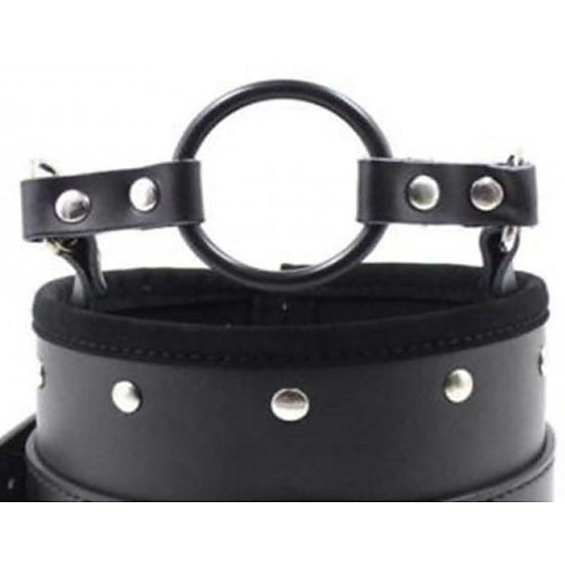 Posture Collar & O Ring Gag Heavy - Bondage Gags and Bits