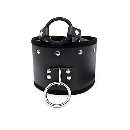 Posture Collar & O Ring Gag Light