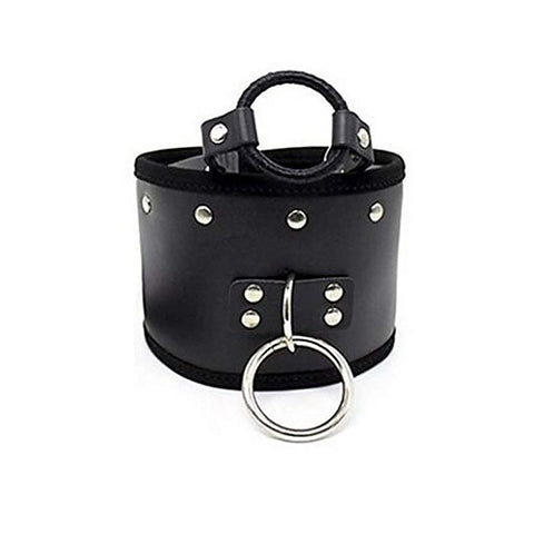 Posture Collar & O Ring Gag Light - Collars and Leads