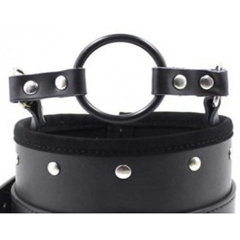 Posture Collar & O Ring Gag Light - Collars and Leads