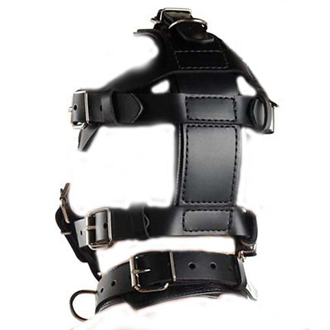Head Harness & Muzzle Light - Bondage Gags and Bits