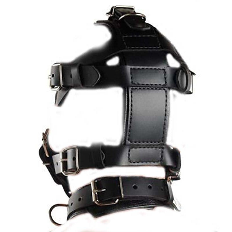 Head Harness & Muzzle Light - Bondage Gags and Bits