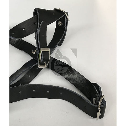 The Crucible Spider Gag With Nipple Clamps By Bdstyle - Bondage Gags and Bits