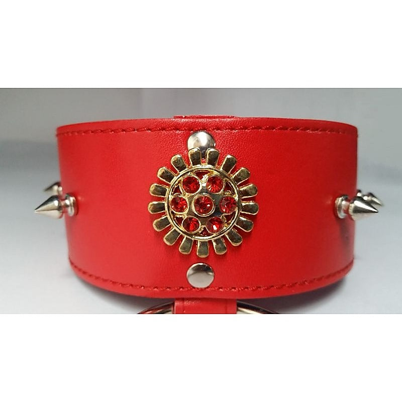 Red Medallion Spiked Collar & Leash - Collars and Leads
