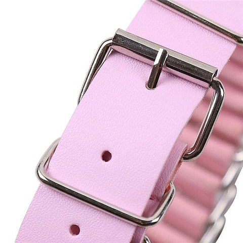 Dog-Clip Bondage Kit by BDStyle - Bondage Kits