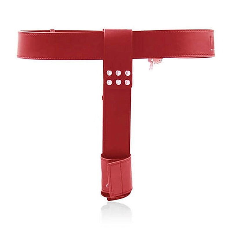 Female Chastity Belt With Double Vibration Plug - Male Chastity