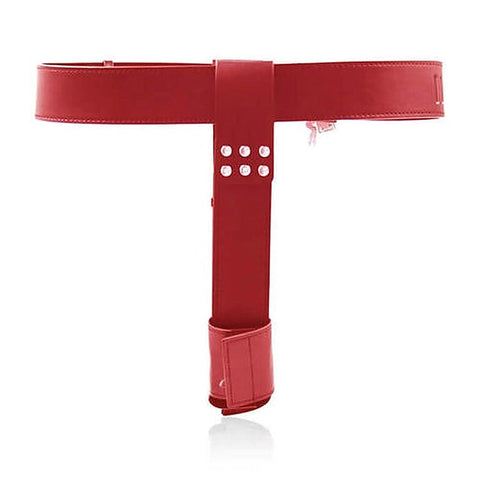Female Chastity Belt With Double Vibration Plug - Male Chastity