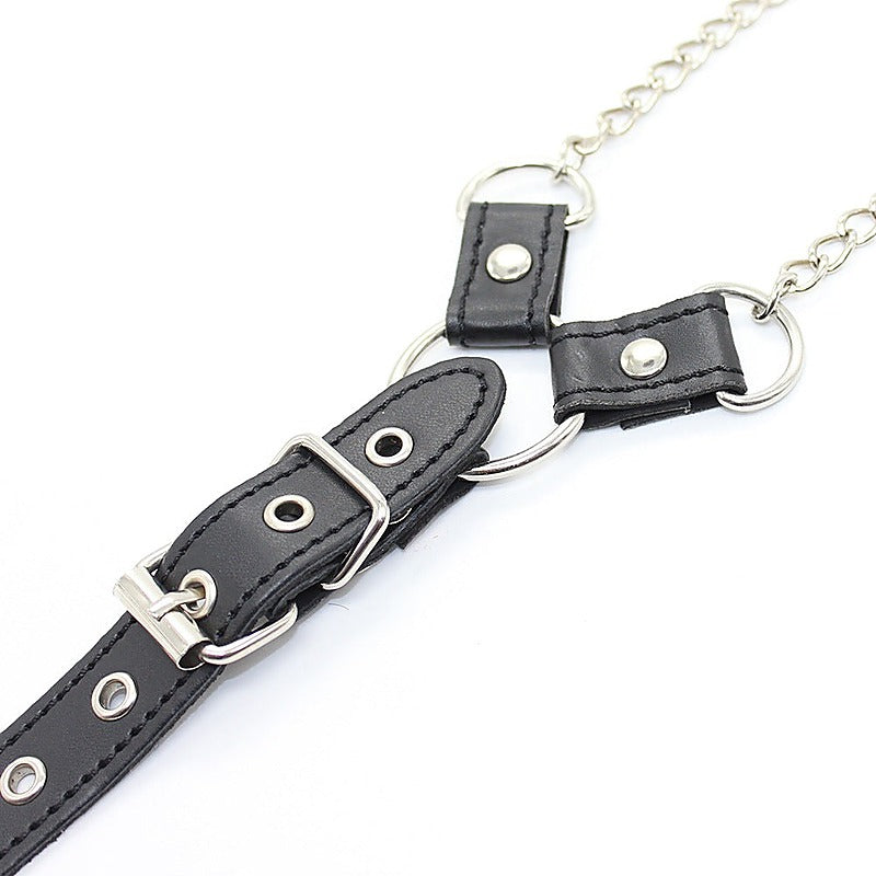 Nipple Clamps and Cock Ring by BDStyle - Cock Rings