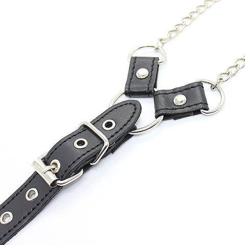 Nipple Clamps and Cock Ring by BDStyle - Cock Rings
