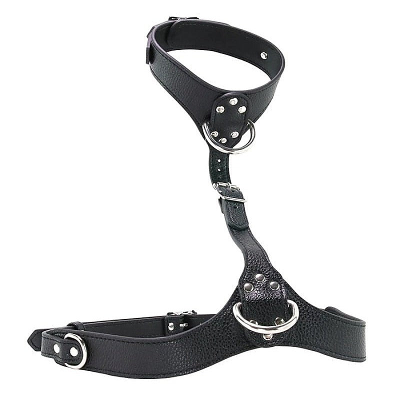 Female Chest Harness by XR Brands - Her Fetish