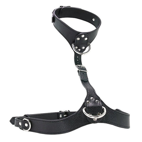 Female Chest Harness by XR Brands - Her Fetish