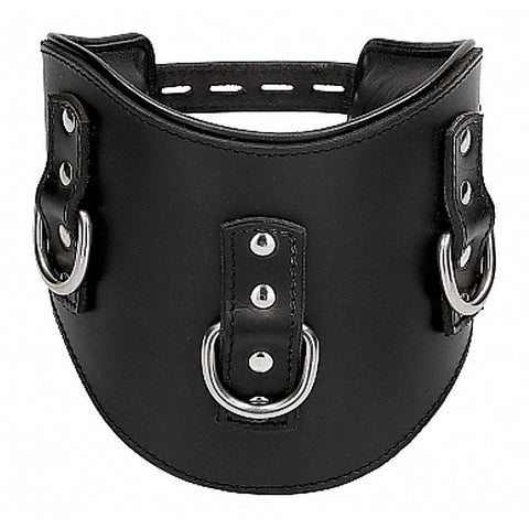 Heavy Duty Padded Posture Collar By Shots Toys - Collars and Leads
