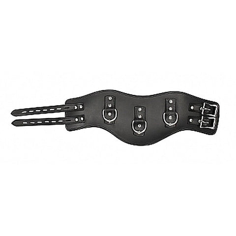 Heavy Duty Padded Posture Collar By Shots Toys - Collars and Leads
