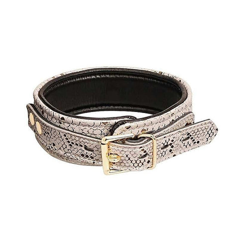 Spartacus White Snake Print Microfiber Collar and Leash - Collars and Leads