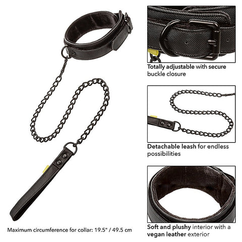 California Exotics Boundless Bondage Collar and Leash - Collars and Leads