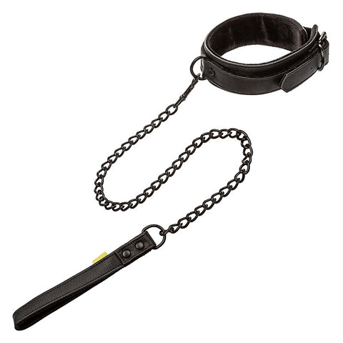 California Exotics Boundless Bondage Collar and Leash - Collars and Leads