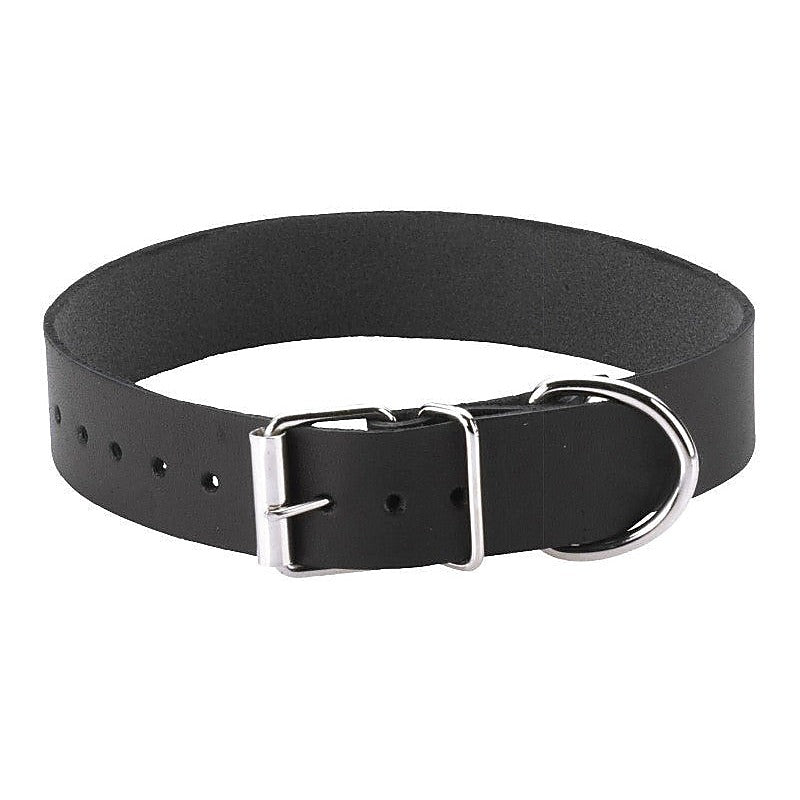 Black Leather Collar Single Strap By Spartacus - Collars and Leads