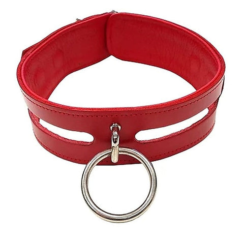Leather Fashion Collar - Collars and Leads