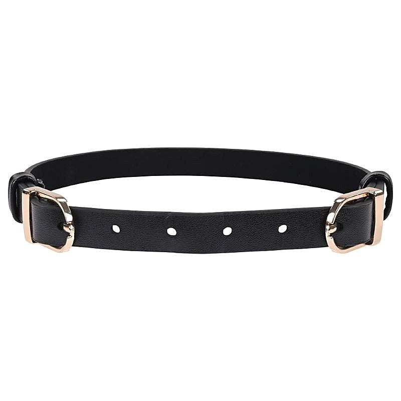 S&M Double Buckle Day Collar By Sportsheets - Collars and Leads