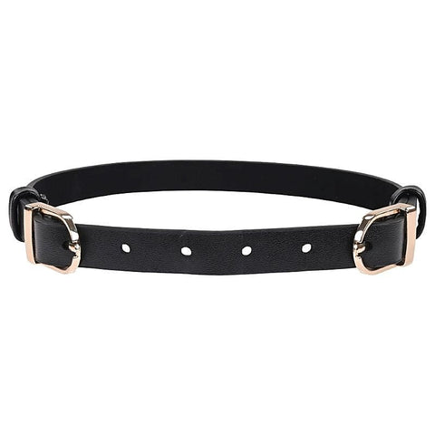 S&M Double Buckle Day Collar By Sportsheets - Collars and Leads