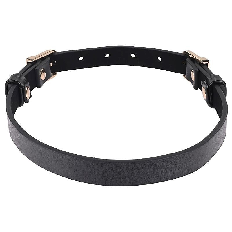 S&M Double Buckle Day Collar By Sportsheets - Collars and Leads
