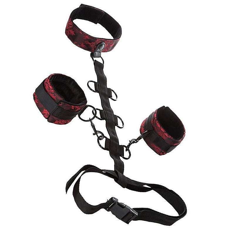 Scandal Collar Body Restraint By California Exotics - Cuffs and Restraints