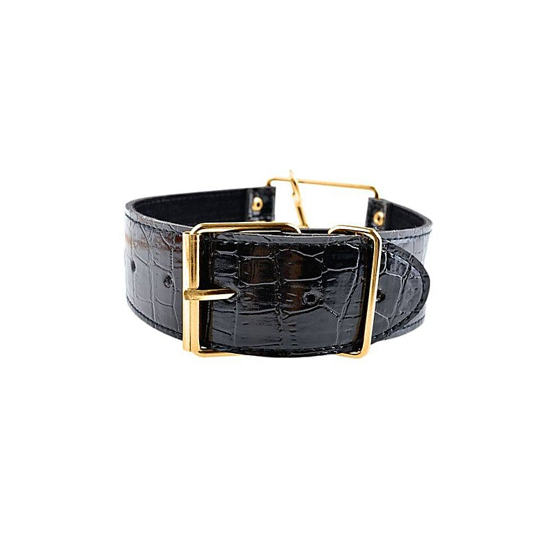 Fetish Fantasy Gold Bondage Collar And Leash Set - Collars and Leads