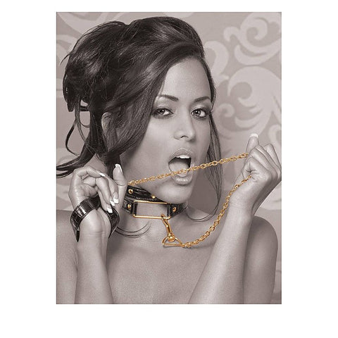Fetish Fantasy Gold Bondage Collar And Leash Set - Collars and Leads