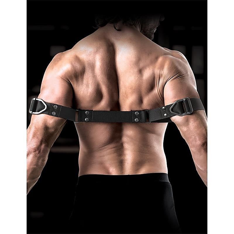 Sir Richards Command Bicep Binder Restraints By Pipedream - Cuffs and Restraints