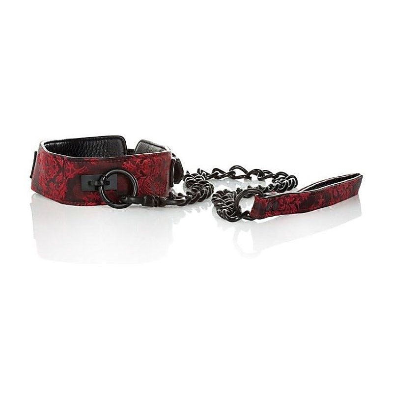 Scandal Collar With Leash By California Exotics - Collars and Leads