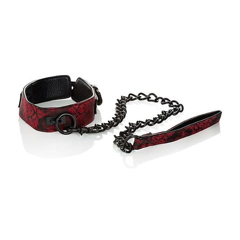 Scandal Collar With Leash By California Exotics - Collars and Leads