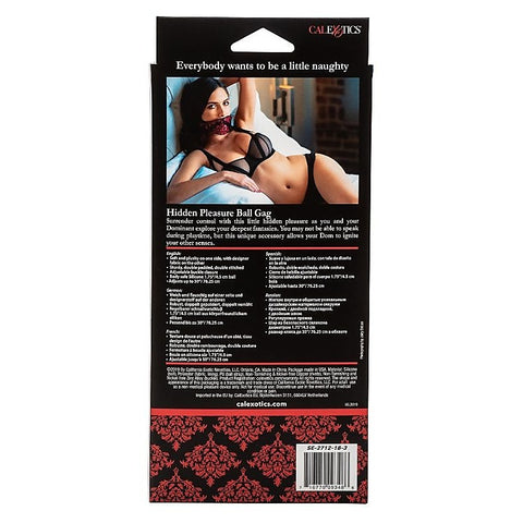 Scandal Hidden Pleasure Ball Gag - Bondage Gags and Bits