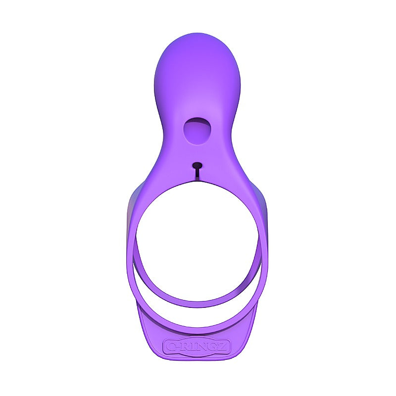 Fantasy C-Ringz Ultimate Couples Cock Cage By Pipedream - Cock Rings