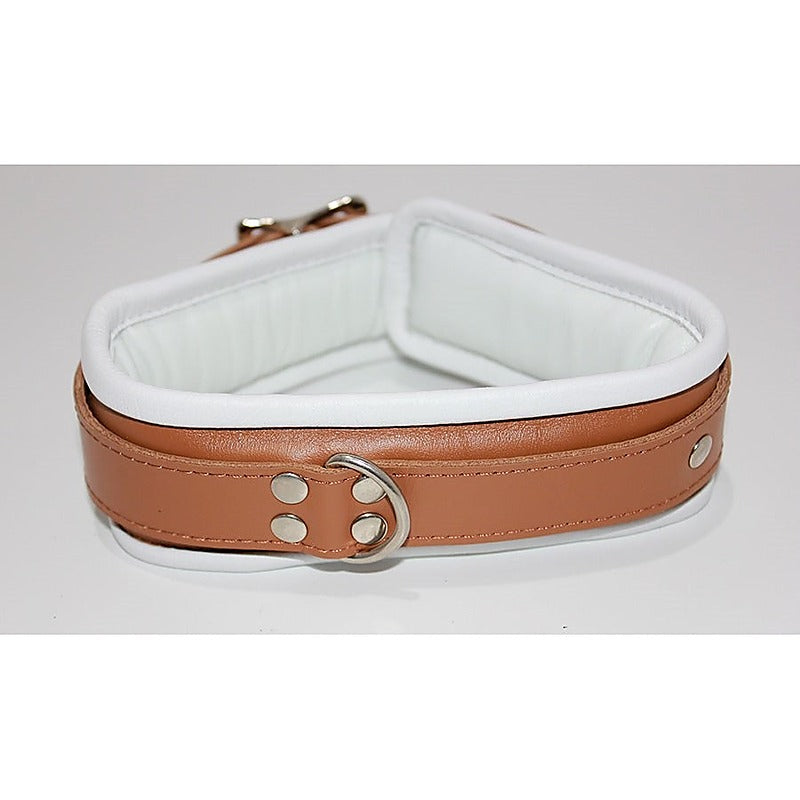 Dungeon Delights Asylum Collar Padded - Collars and Leads