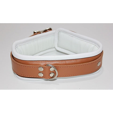 Dungeon Delights Asylum Collar Padded - Collars and Leads