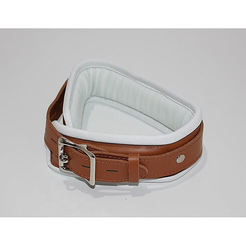 Dungeon Delights Asylum Collar Padded - Collars and Leads