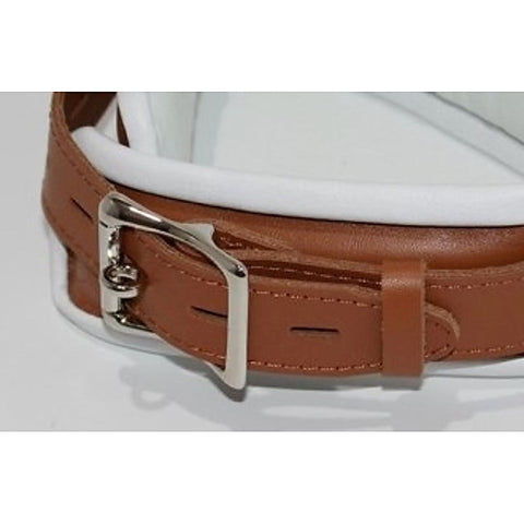 Dungeon Delights Asylum Collar Padded - Collars and Leads