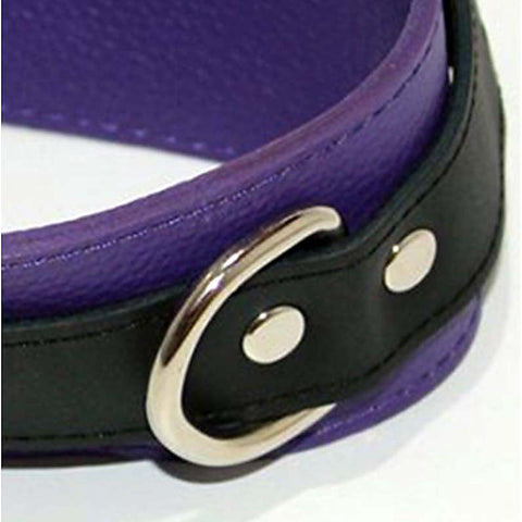 Purple Pleasures BDSM Collar with Studs O-Rings - Collars and Leads