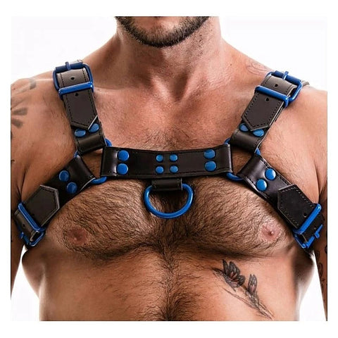 Premium Fetish H-Front Harness By Bdstyle - Cuffs and Restraints