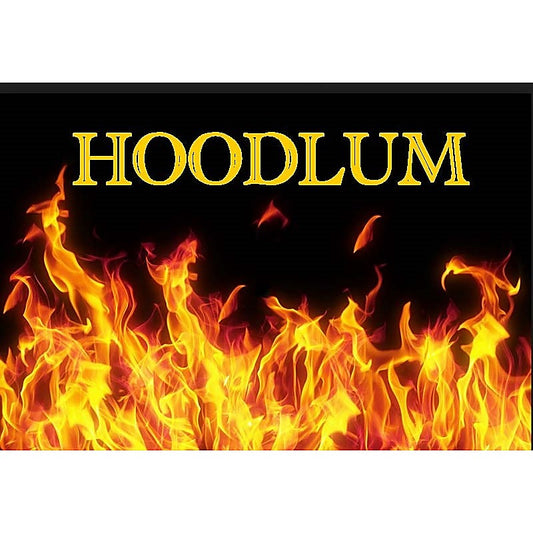 Hoodlum 13" Veiny Dong By Nanma Corporation - Realistic Dildos