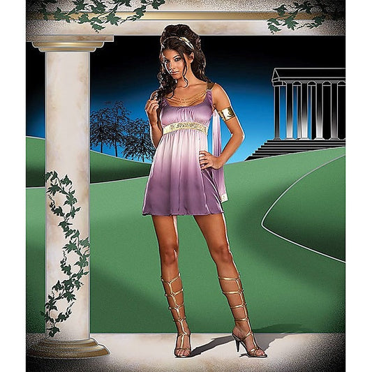Mythical Muse Costume By Dream Girl Lingerie - Fancy Dress Ups