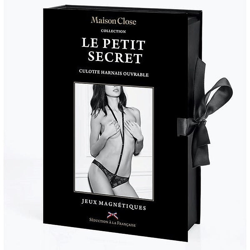 Risque Lace Panty With Harness By Maison Close - G-Strings, Panties and Shorts