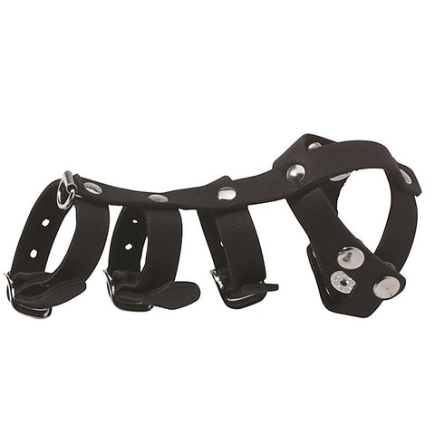 Leather Vertebrate By Spartacus Enterprises - Ball and Cock Toys