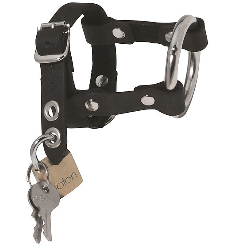 Spartacus Enterprises - Locking Leather & Steel Chastity Harness - Male Chastity