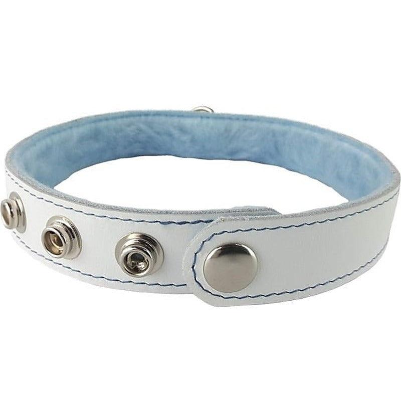 Spartacus Premium Blue Fur-Lined Leather Collar - Collars and Leads