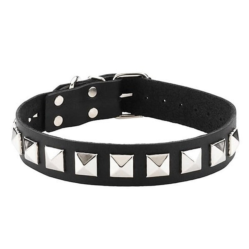 Spartacus Studded Single Strap D-Ring Control Collar - Collars and Leads